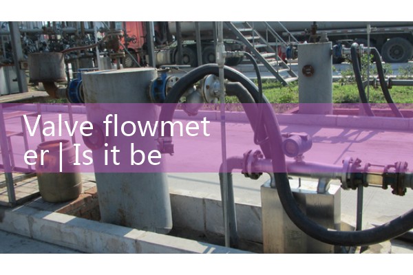Intelligent liquid flowmeter